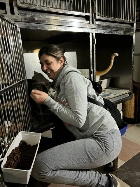 A volunteer cuddling a cat at the refuge
